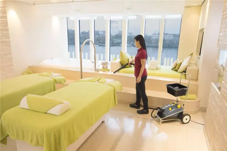 Пароочиститель KARCHER SG 4/4 профи купить в Нягани
