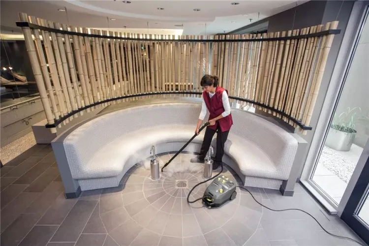 Пароочиститель KARCHER SG 4/4 профи купить в Нягани