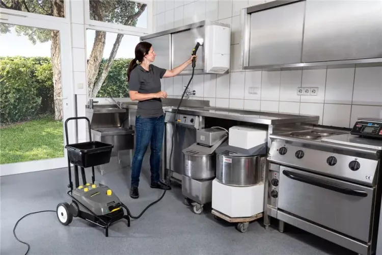 Пароочиститель KARCHER SG 4/4 профи купить в Нягани