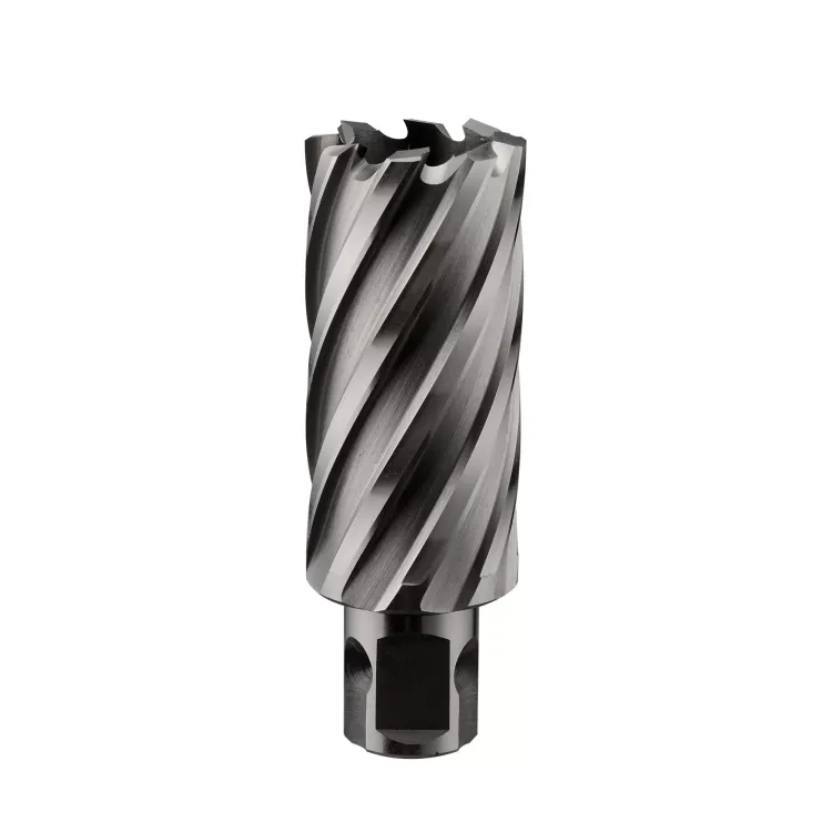 Сверло корончатое ALTECO HSS 20x50 22465 купить в Нягани