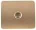 Розетка СВЕТОЗАР &quot;ГАММА&quot; телевизионная, без вставки и рамки, цвет золотой металлик SV-54115-GM купить в Нягани
