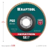 Круги лепестковые керамические торцевые 36598-125-60 купить в Нягани