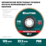 Круги лепестковые керамические торцевые 36598-125-80 купить в Нягани