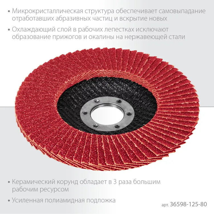 Круги лепестковые керамические торцевые 36598-125-80 купить в Нягани