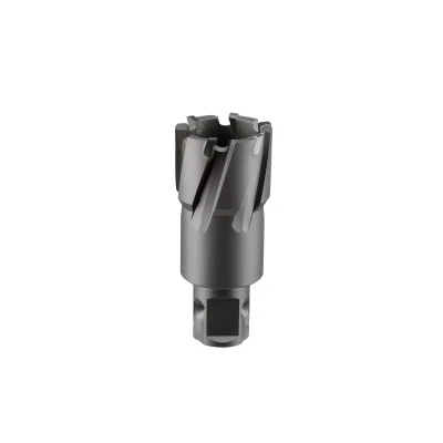 Сверло корончатое твердосплавное ALTECO TCT 32х35 82780