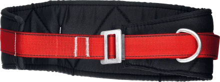 Удерживающая привязь 2 точки крепления серия Без серии 11582 купить в Нягани