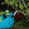 Нож садовый Palisad, 165 мм, складной, окулировочный, пластиковая рукоятка, 790547 купить в Нягани