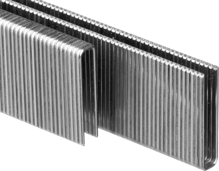 Скобы тип 55, 25 мм, особотвердые, ЗУБР &quot;ПРОФЕССИОНАЛ&quot; 31855-25, 2500 шт 31855-25 купить в Нягани