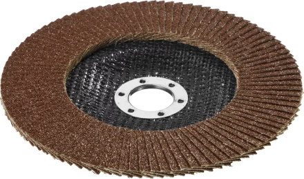 Круг шлифовальный STAYER &quot;PROFI&quot; лепестковый торцевой, зерно-электрокорунд нормальный, тип КЛТ 1, P60, 125х22,2мм 36581-125-060 купить в Нягани