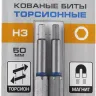 ЗУБР Hex 3, 50 мм, 2 шт, торсионные биты, Профессионал (26017-3-50-2) купить в Нягани