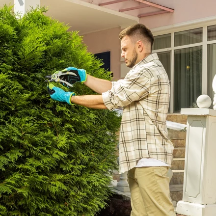 Секатор с наковальней Palisad, 210 мм, пластиковые рукоятки, 60465 купить в Нягани