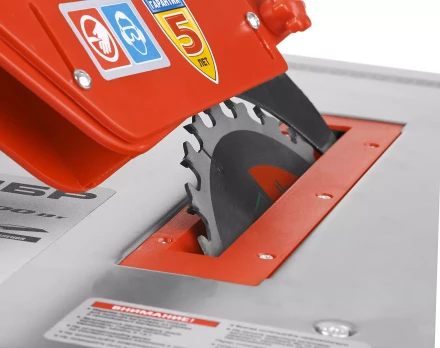 Станок распиловочный ЗПДС-200-800 серия МАСТЕР купить в Нягани