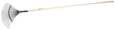 Грабли ЗУБР &quot;ЭКСПЕРТ&quot; веерные из нержавеющей стали, деревянный черенок из ясеня, 16 круглых зубцов, 440х360х1735мм 4-39451_z01 купить в Нягани