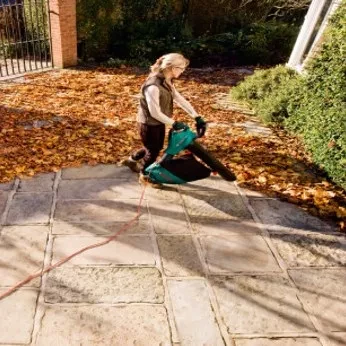 Воздуходувка-пылесос BOSCH ALS 30 W/EEU электрическая купить в Нягани