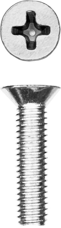 Винт DIN 965, M5 x 20 мм, 10 шт, кл. пр. 4.8, оцинкованный, ЗУБР 303116-05-020 купить в Нягани