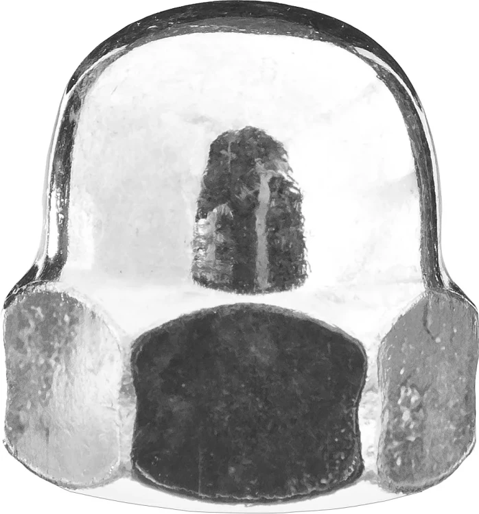 Гайка ЗУБР колпачковая DIN 1587, оцинкованная,  M10, ТФ6, 2 шт. 4-303686-10 купить в Нягани