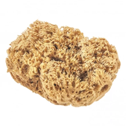 Губка натуральная для декоративных покрытий Matrix 86817 купить в Нягани