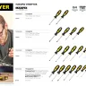 Набор отверток STAYER "MASTER", 19шт 2513-H19 купить в Нягани