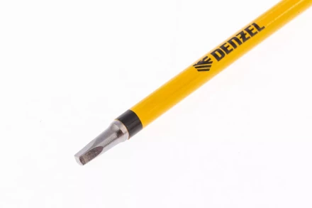 Бита S1x100 мм, 5 шт. Denzel 7711331 купить в Нягани