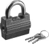 Замок навесной, дисковый механизм секрета, ВС2-23 37220-23 купить в Нягани