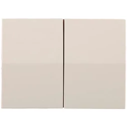 Выключатель СВЕТОЗАР "ЭФФЕКТ" двухклавишный, без вставки и рамки, цвет бежевый, 10A/~250B SV-54434-B