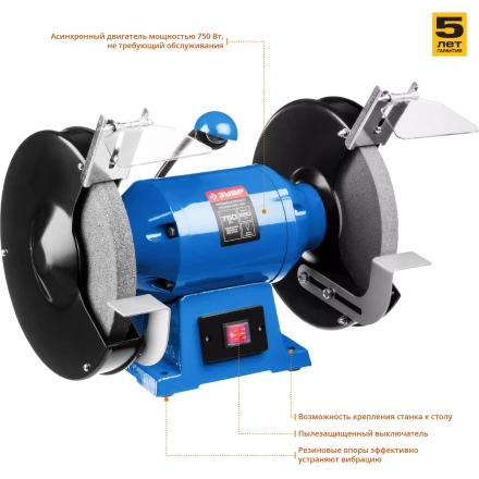 Точило с фонарем ЗТШМЭ-250-750 серия ПРОФЕССИОНАЛ купить в Нягани