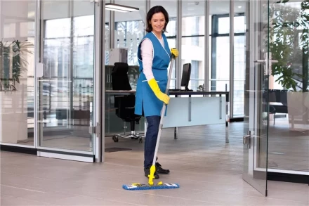 Средство для чистки поверхностей CA 30 C 1 л KARCHER купить в Нягани