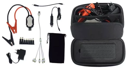 Пусковое устройство ATOM 10 купить в Нягани