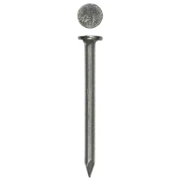 Гвозди ЗУБР строительные по дереву, листовому металлу, 1,2х25мм, ТФ6, 450шт 4-305016-12-025