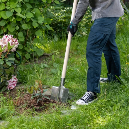 Лопата штыковая, нержавеющая сталь Сибртех, 200х265 мм, ребра жесткости, без черенка, Россия 614375 купить в Нягани