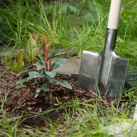Лопата штыковая, нержавеющая сталь Сибртех, 200х265 мм, ребра жесткости, без черенка, Россия 614375 купить в Нягани