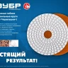 ЗУБР 100 мм, №100, мокрое шлифование, алмазный гибкий шлифовальный круг АГШК, Профессионал (29866-100) купить в Нягани