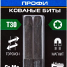 ЗУБР TX 30, 50 мм, 2 шт, ударные биты, Профессионал (26025-30-50-S2) купить в Нягани