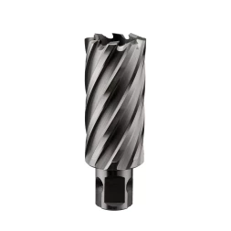 Сверло корончатое ALTECO HSS 12x50 22461