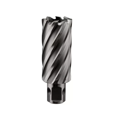 Сверло корончатое ALTECO HSS 12x50 22461